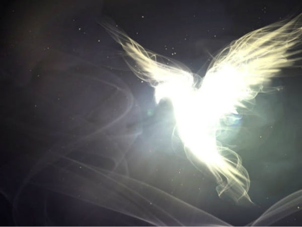 Holy Spirit 6  Image