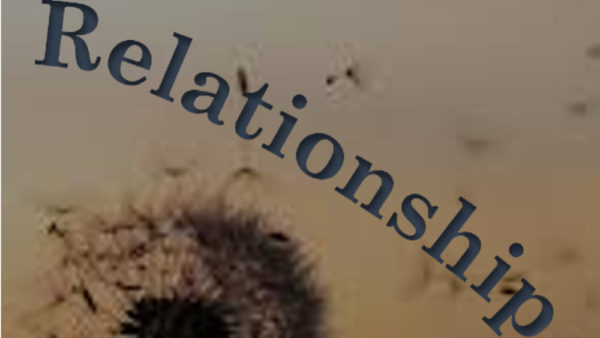 Relationship - Part 3 Image